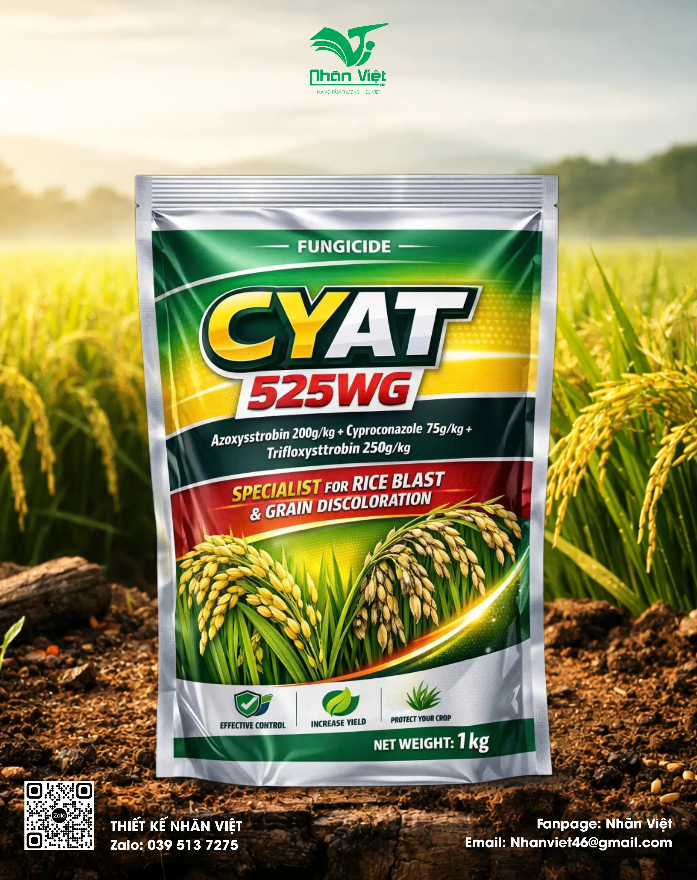 Nhãn mác & Bao bì